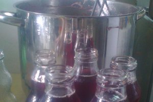 Sirop de capsuni