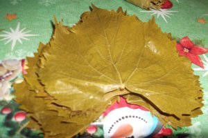 Frunze de vita de vie conservate pentru iarna