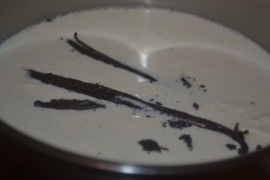 Tort de inghetata cu ciocolata si vanilie