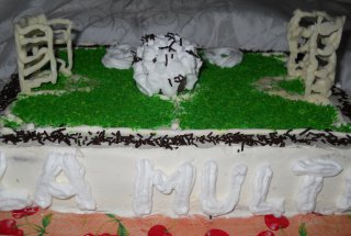 Tort Teren de Fotbal