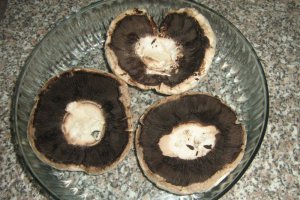 Ciorba de ciuperci