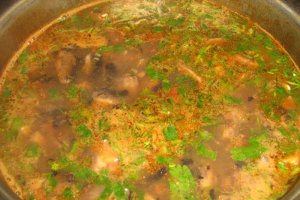 Ciorba de ciuperci