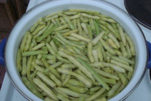 Salata de fasole verde cu piept de pui