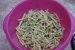 Salata de fasole verde cu piept de pui-0