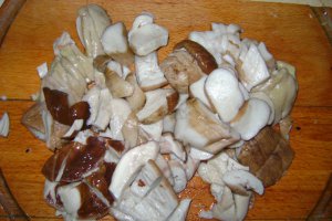 Tocanita de vara cu ciuperci