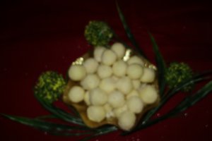 RAFAELLO