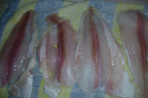 File de pangasius la cuptor