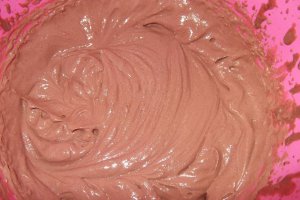 Tort cu crema de ciocolata si frisca