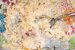 Salata de telina cu pui-2