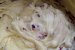 Fursecuri cu coacaze rosii-7