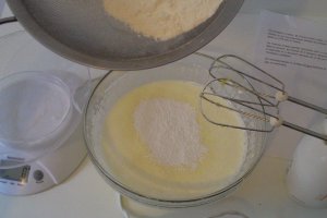 Tort Fluture