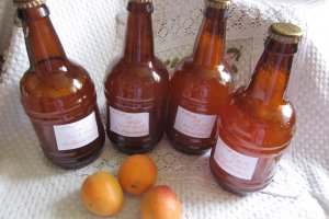 Sirop din caise