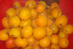 Gem de caise