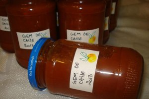 Gem de caise