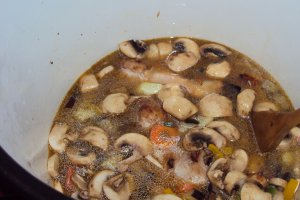 Tocana de legume,orez si pui