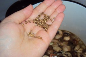 Tocana de legume,orez si pui