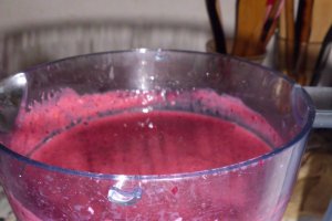 Shake fructe de padure
