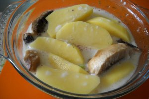 Pui portughez