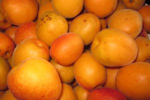 Caise făcute gem a la Panacris