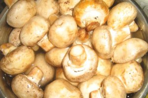 Ciulama de ciuperci