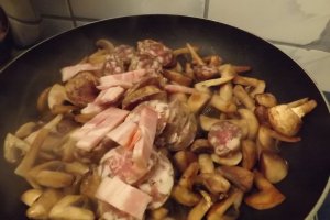 Tigaia rapida