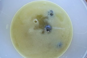 Smoothie "Puterea afinelor"