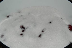 Dulceata de visine