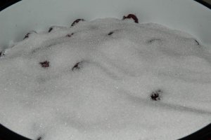 Dulceata de visine