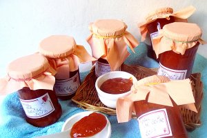 Gem de caise