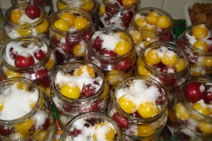 Compot de zarzare( corcoduse)
