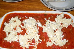 Pui parmigiana