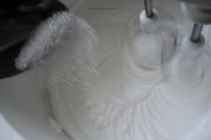 Pavlova