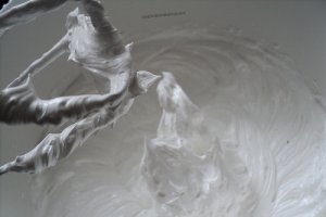 Pavlova