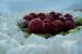 Pavlova-0