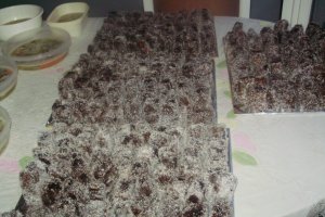 Cuburi cu nuca de cocos