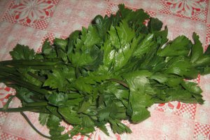 Leustean in otet la borcan