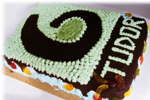 Tort de ciocolata Tudor