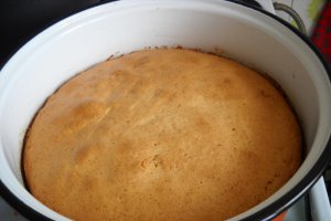 Tarta Tatin cu caise