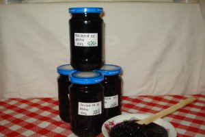 Dulceata de afine