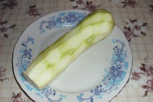 Snitele de dovlecei