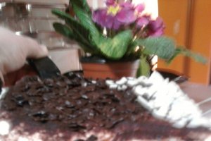 Cheesecake cu ciocolata alba