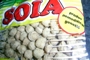 Tocanita picanta  de soia