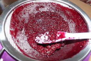 Gem de mure
