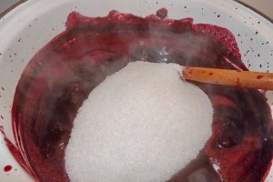 Gem de mure