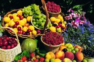 Fructe pentru cura de slabire, in functie de zodie