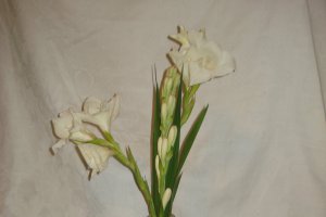 Tort cu blat de nuca si crema de zmeura