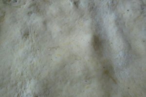 Prajitura cu fructe