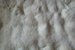 Prajitura cu fructe