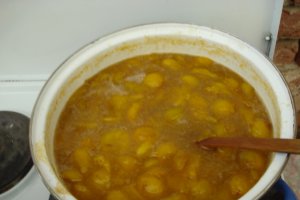 Dulceata de ringlote (Prune)  cu scortisoara