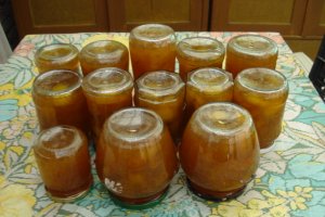 Dulceata de ringlote (Prune)  cu scortisoara